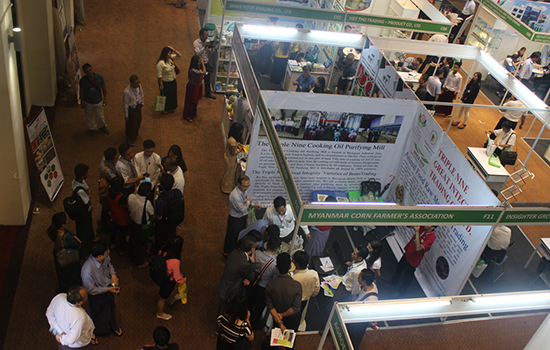 1694415262280437.jpg 缅甸仰光家禽畜牧展览会Livestock MYANMAR1.jpg