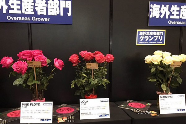 日本东京花卉园艺展览会IFEX4.jpg